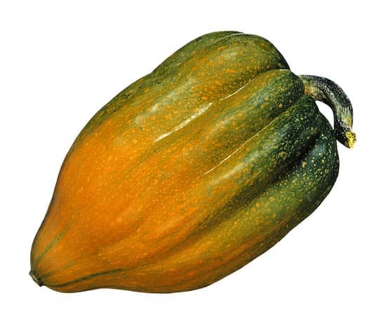 canva acorn squash MAC77QvZPIc