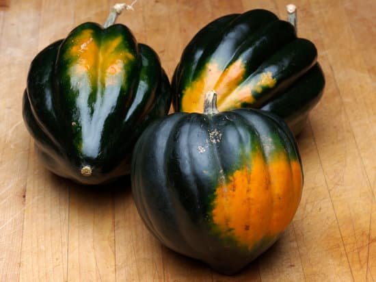 canva acorn squash