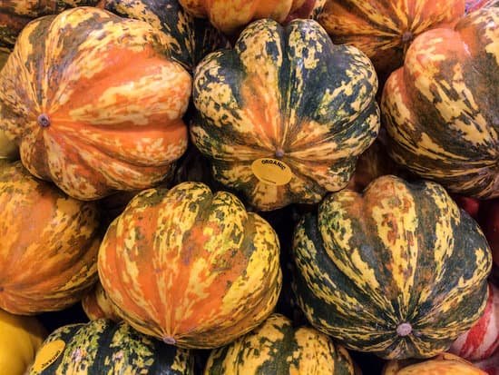 canva acorn squash MAEFnQ15d50