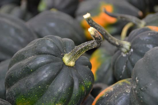 canva acorn squash MAETvOEeT90