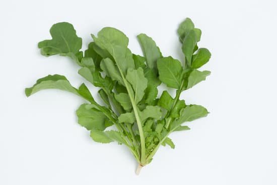 canva arugula MADBVVhwrfs