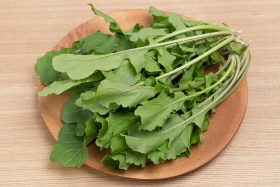 canva arugula MADBVeZI0O8