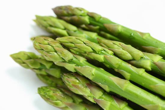 canva asparagus MAC Q 8JJG8
