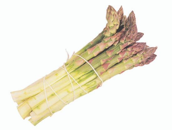 canva asparagus MAC8SJqAB6I