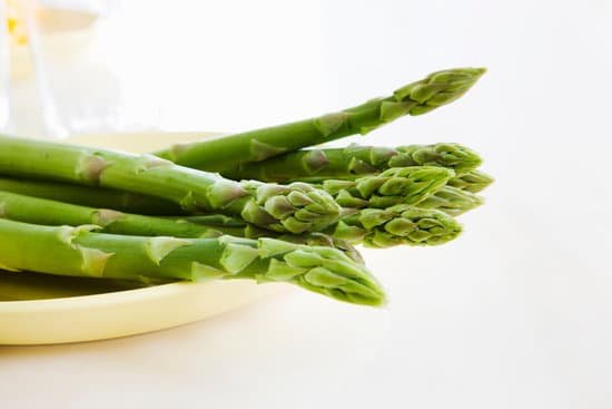 canva asparagus MAC97flf8NM