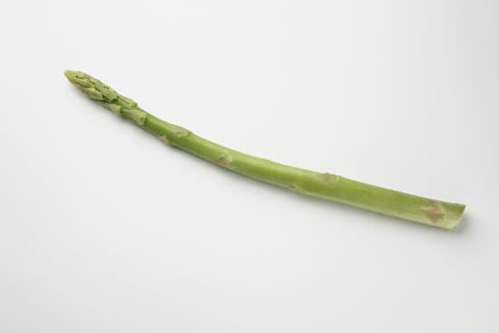 canva asparagus MAC98aZYYjs
