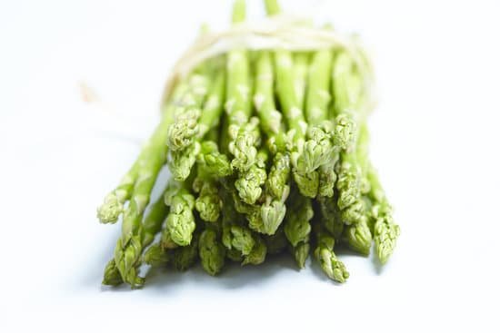 canva asparagus MADA1qS5BqE