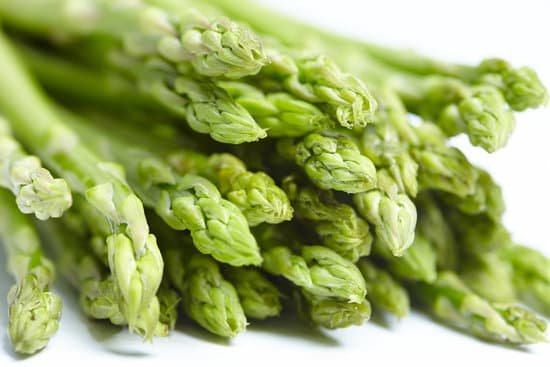 canva asparagus MADA1uBNIQE