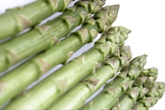 canva asparagus MADAEm9jGOE