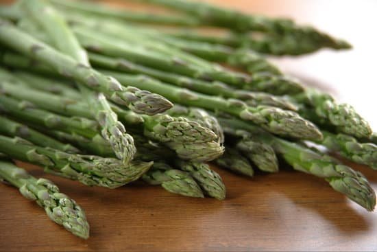 canva asparagus MADAEpNQWtw