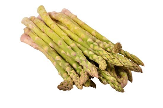 canva asparagus MADAfPlE2Wc