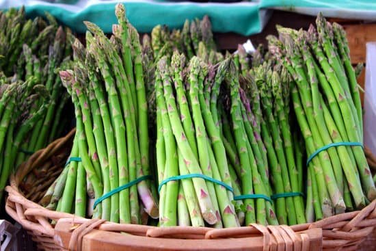 canva asparagus MADAl4PUGVs