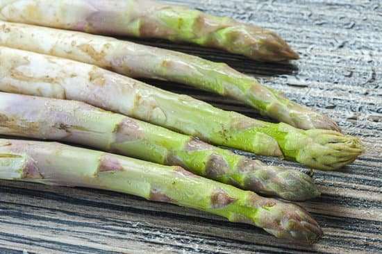 canva asparagus MADB8KfgT5M