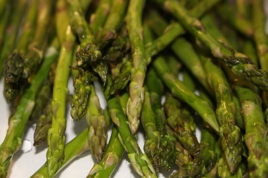 canva asparagus MADBOKPdLGs