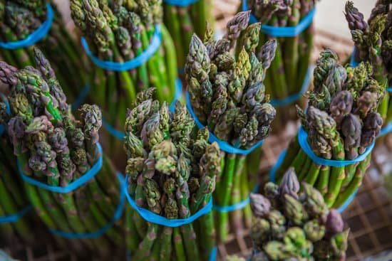 canva asparagus MADBb5ybkaw