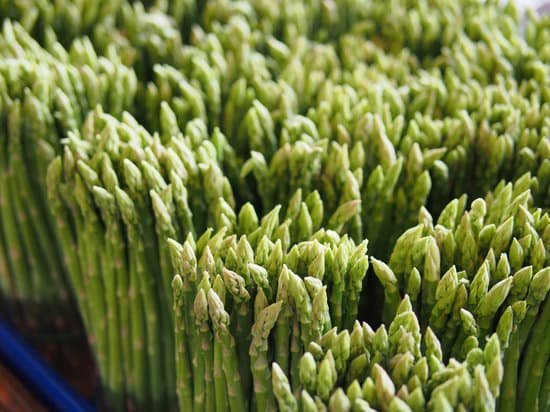 canva asparagus MADBvJZto8M