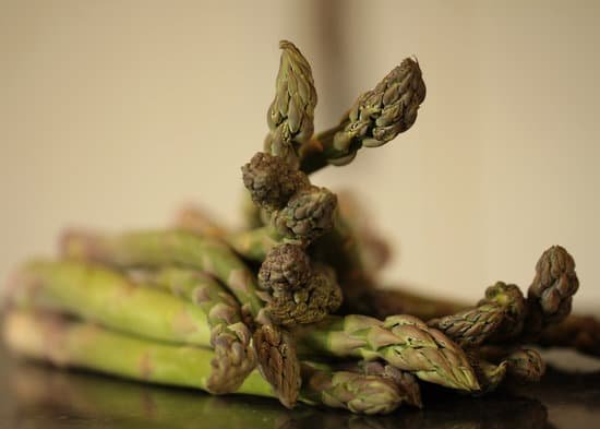 canva asparagus MADCAyMQX k