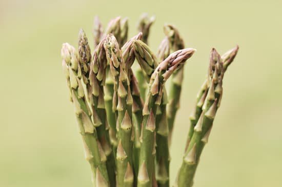 canva asparagus MAED7lHqMfc