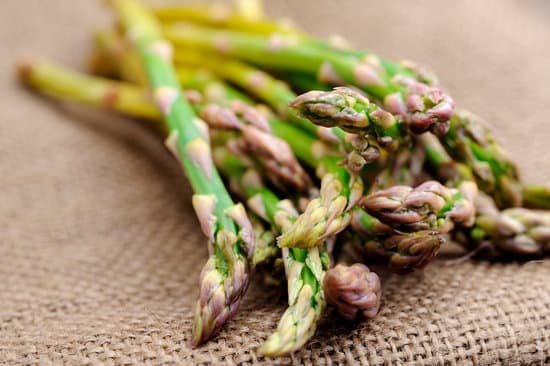 canva asparagus MAEE6V7lXKU