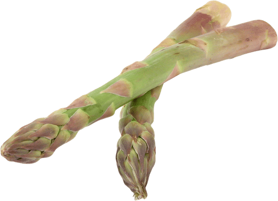 canva asparagus MAEZeX1dv3o