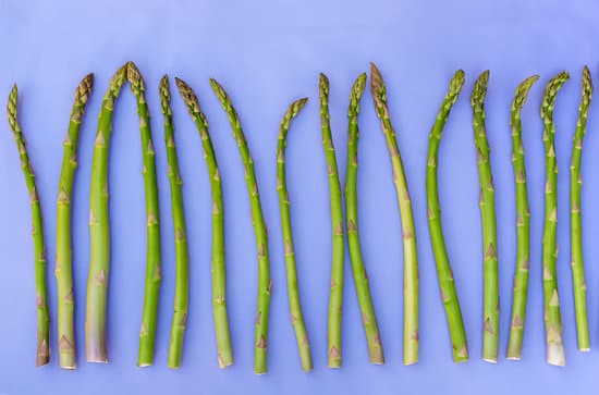 canva asparagus on purple background