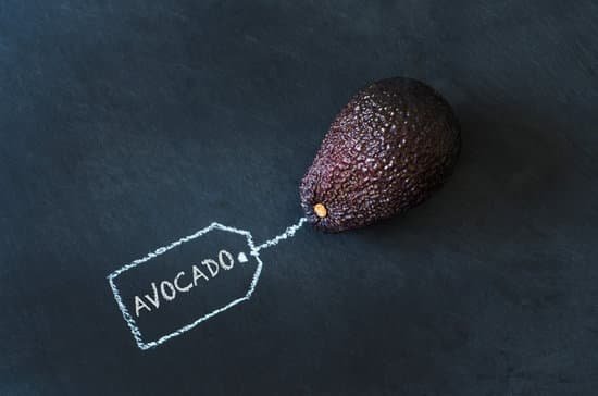 canva avocado MADAaVcpVso