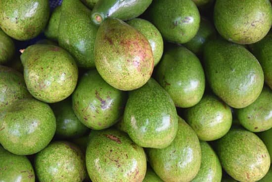 canva avocado MADBQjjlRYo