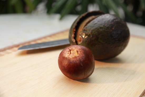 canva avocado MADFPUYMpyA