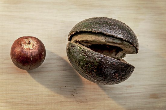 canva avocado MADFPco HCg