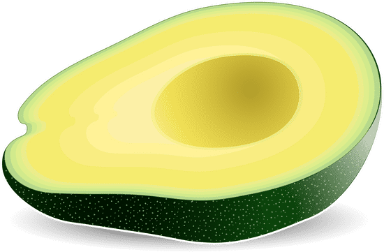 canva avocado MAEWrihKeQM