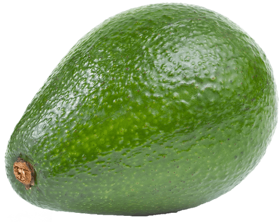 canva avocado MAEWru1F74c