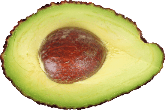 canva avocado MAEWrvUDuCo