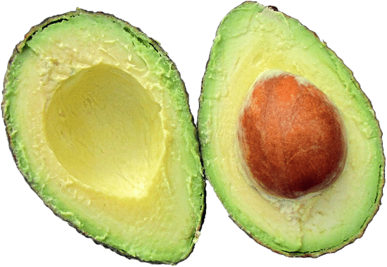 canva avocado