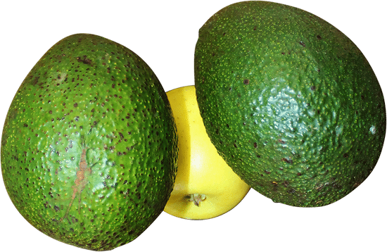 canva avocado MAEZdCV1Z58