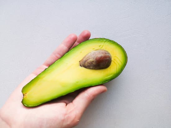 canva avocado in hand on white background MAEPu0wDaus