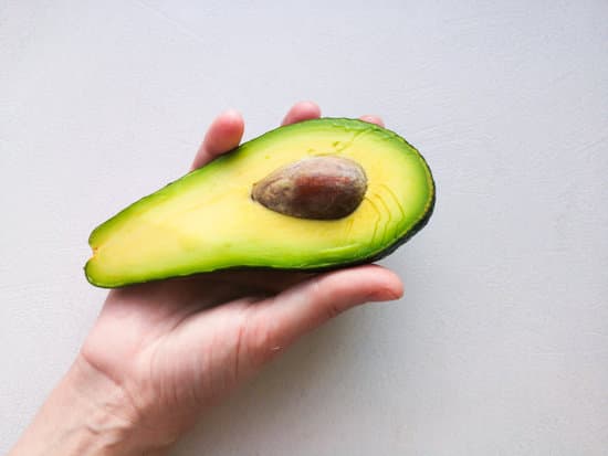 canva avocado in hand on white background MAEPu82YBXI