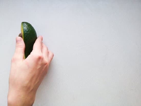canva avocado in hand on white background. MAEPu2TPTXg