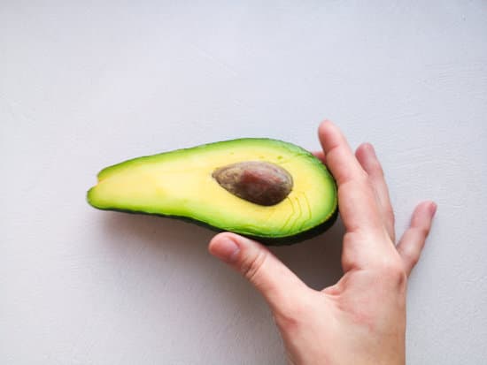 canva avocado in hand on white background. MAEPu7ZkSUI