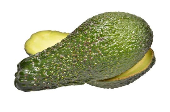 canva avocados MADAfXWJAX0