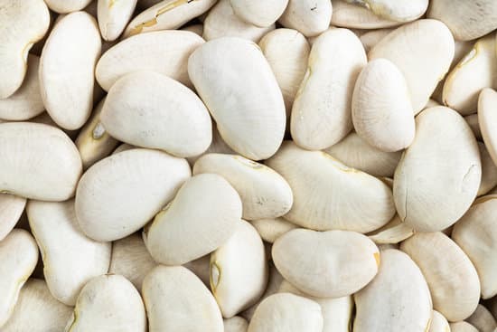 canva background raw white lima beans MAEgW3I W84
