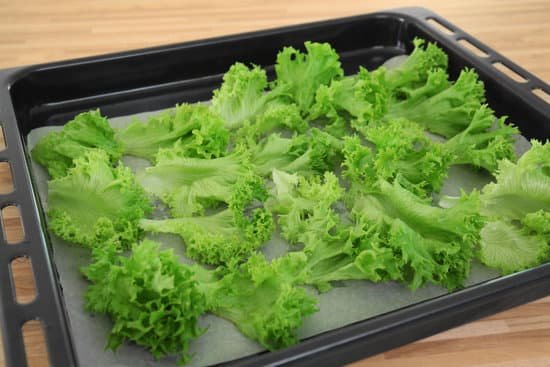 canva baking tray with lettuce MAD9T rcwVY