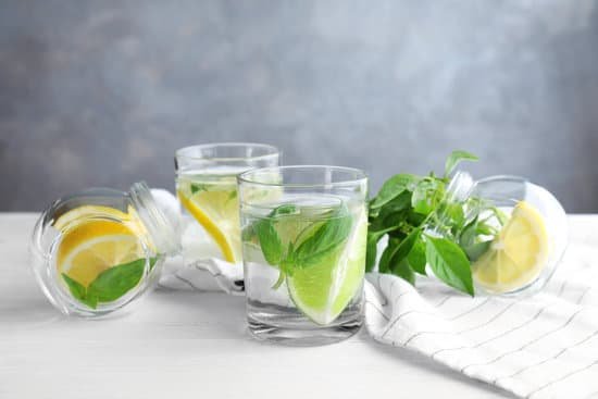 canva basil and lemon water in glassware on a table MAD9T8mrvt0