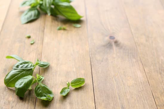 canva basil leaves on wooden background MAD MUAoyu4