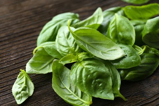 canva basil leaves on wooden background MAD MbFtAMc