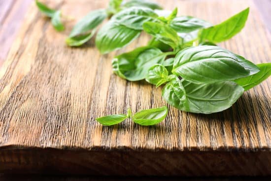 canva basil leaves on wooden board MAD MUmIt2c