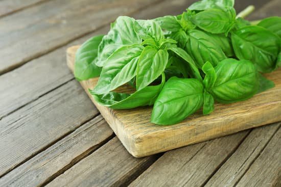 canva basil leaves on wooden board MAD MVX5CUM