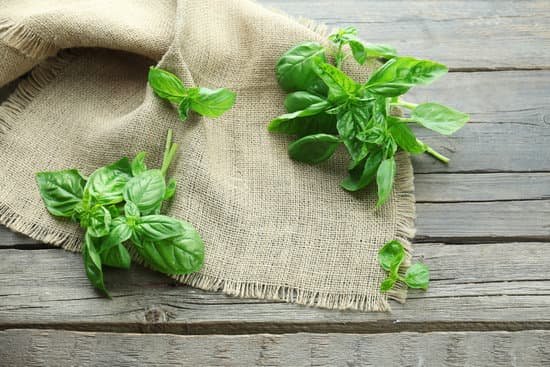 canva basil leaves with sackcloth on wooden background MAD MVw8drA