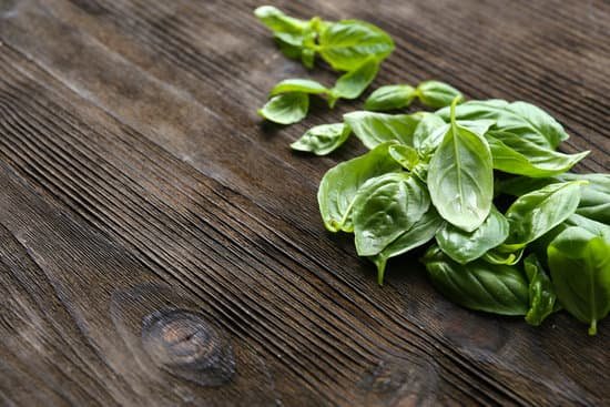 canva basil on wooden background MAD MRtTnhE