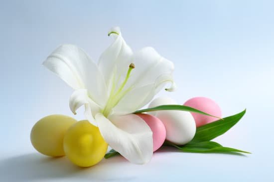 canva beautiful composition with lily and easter eggs on white background MAD9aQ8fyBM