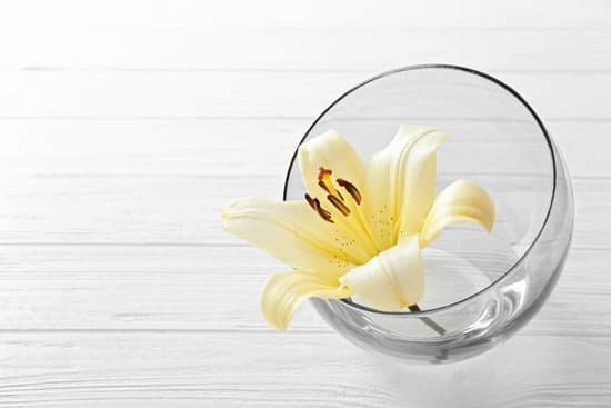 canva beautiful lily in round glass vase on white wooden background MAD Q VEpL4